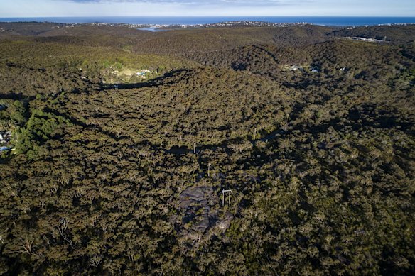 The land council has withdrawn a long-running housing plan at Patyegarang, or Lizard Rock, in Belrose.
