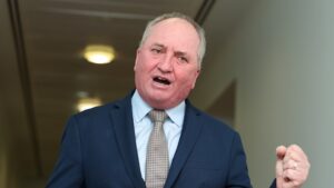 Joyce says One Nation has discussed supply with senior Liberals ahead of next election; US slams Albanese’s algorithm reforms, says they will lead to censorship