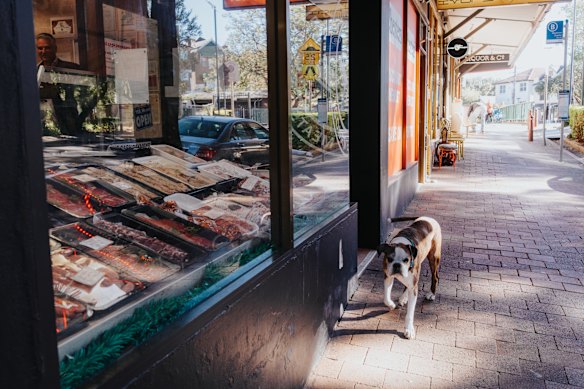 Giuseppe’s Gourmet Meats, with a fan. 