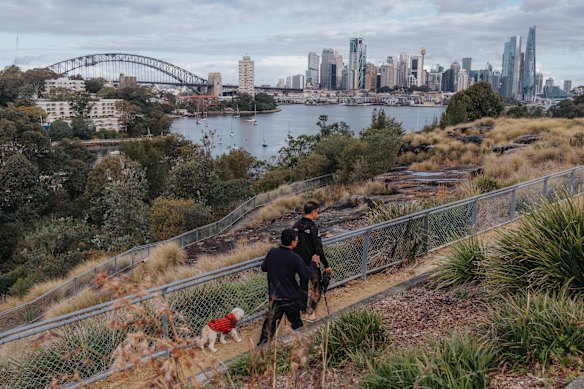  Balls Head Reserve.  