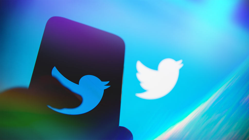 Judge Lets Musk Keep ‘Twitter’ for Now but Forces Him to Release the Bird