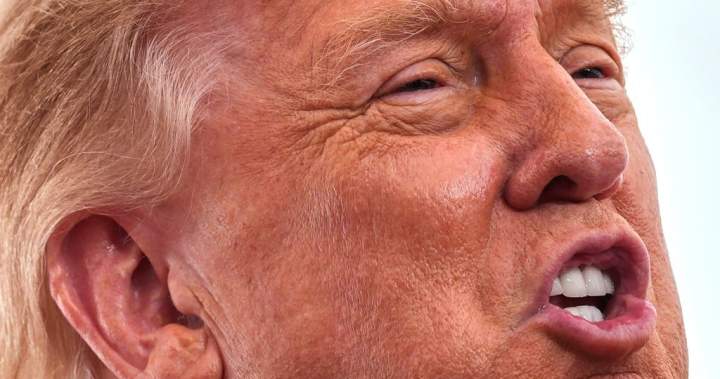 Trump says Canada ‘wants to make a deal very badly’