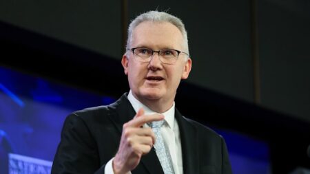 International students forced to consider their futures after Labor’s migration overhaul; University bodies, charities slam Burke’s plan
