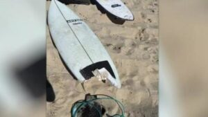 Authorities take Geraldton shark attack survivor’s board, wetsuit for DNA testing