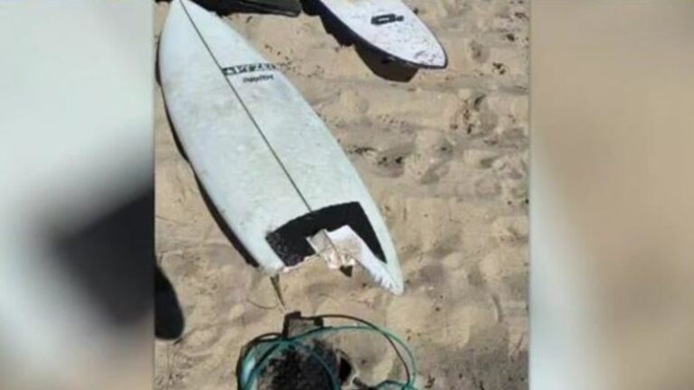 Authorities take Geraldton shark attack survivor’s board, wetsuit for DNA testing