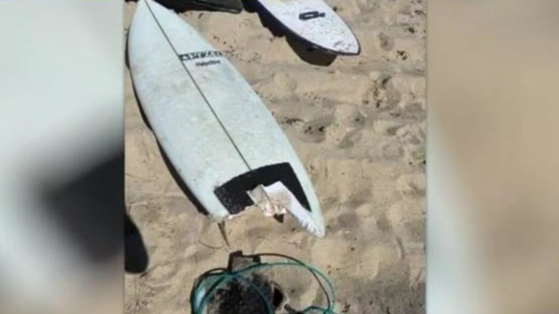 Authorities take Geraldton shark attack survivor’s board, wetsuit for DNA testing