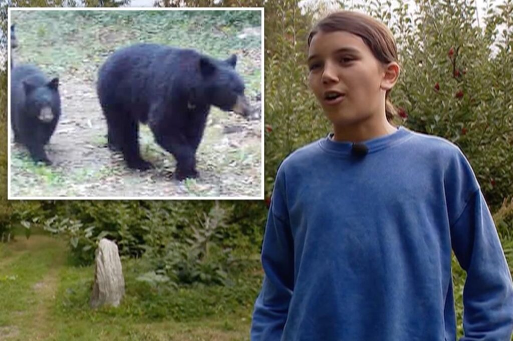 Brave 12-year-old fought off angry black mama bear in his backyard: ‘It was fight or die’
