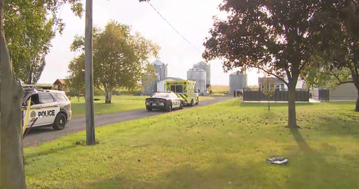 4 killed after helicopter crashes in field near Montreal
