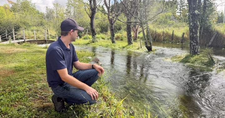 Lunenburg water conservation continues after Dares Lake dam breach