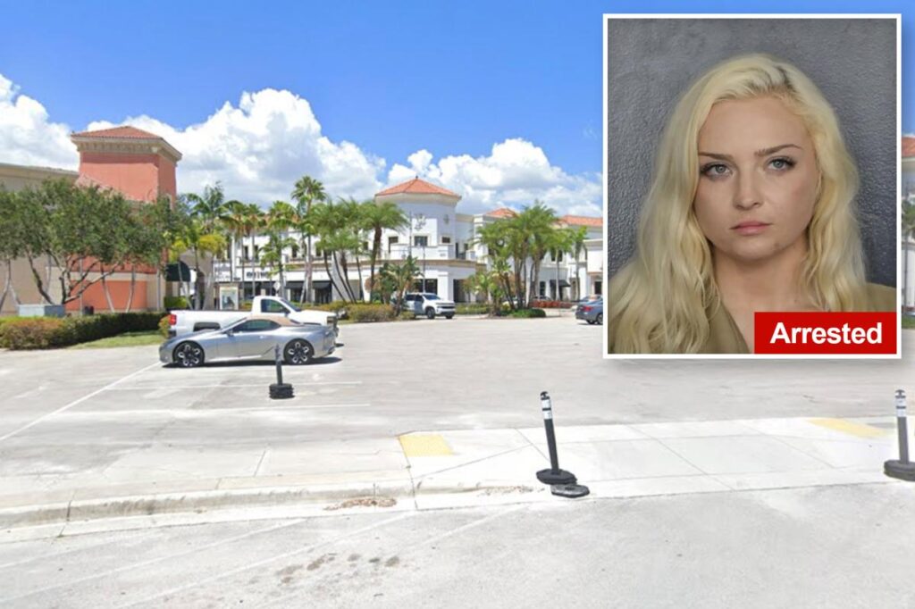 Florida seductress accused of drugging men she meets out, stealing their watches including nearly $100K Rolex