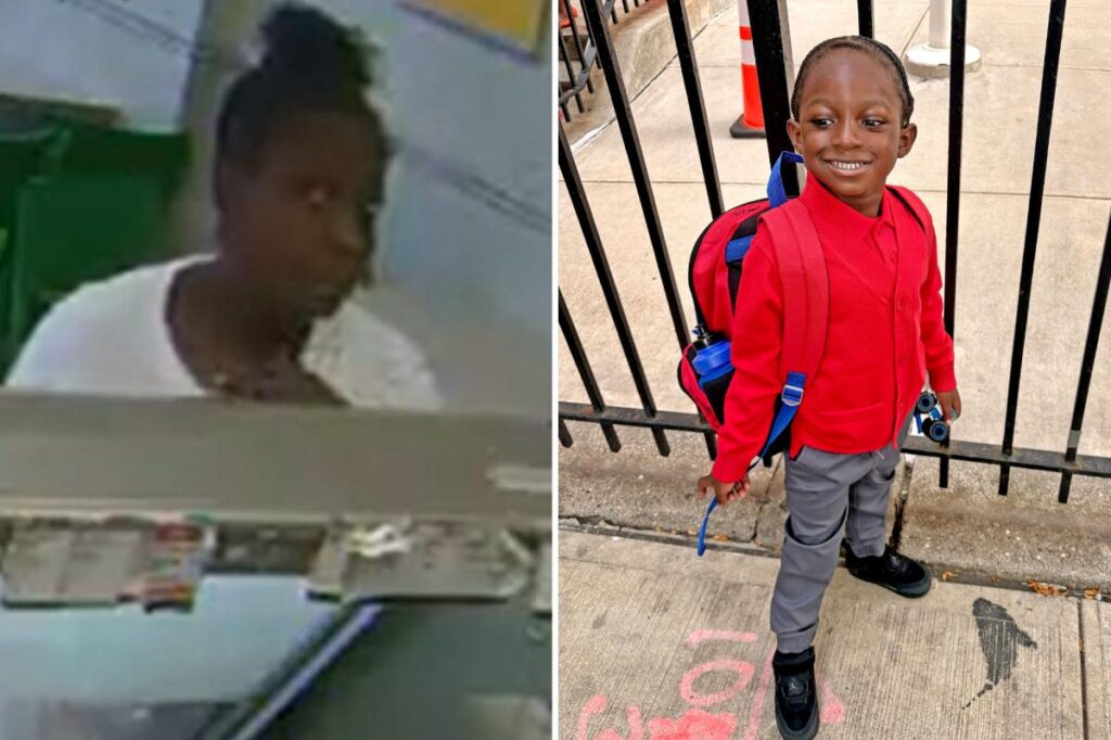 Crazed NYC woman who tried kidnapping 4-year-old off street has disturbing, violent past: authorities