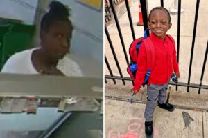 Crazed NYC woman who tried kidnapping 4-year-old off street has disturbing, violent past: authorities