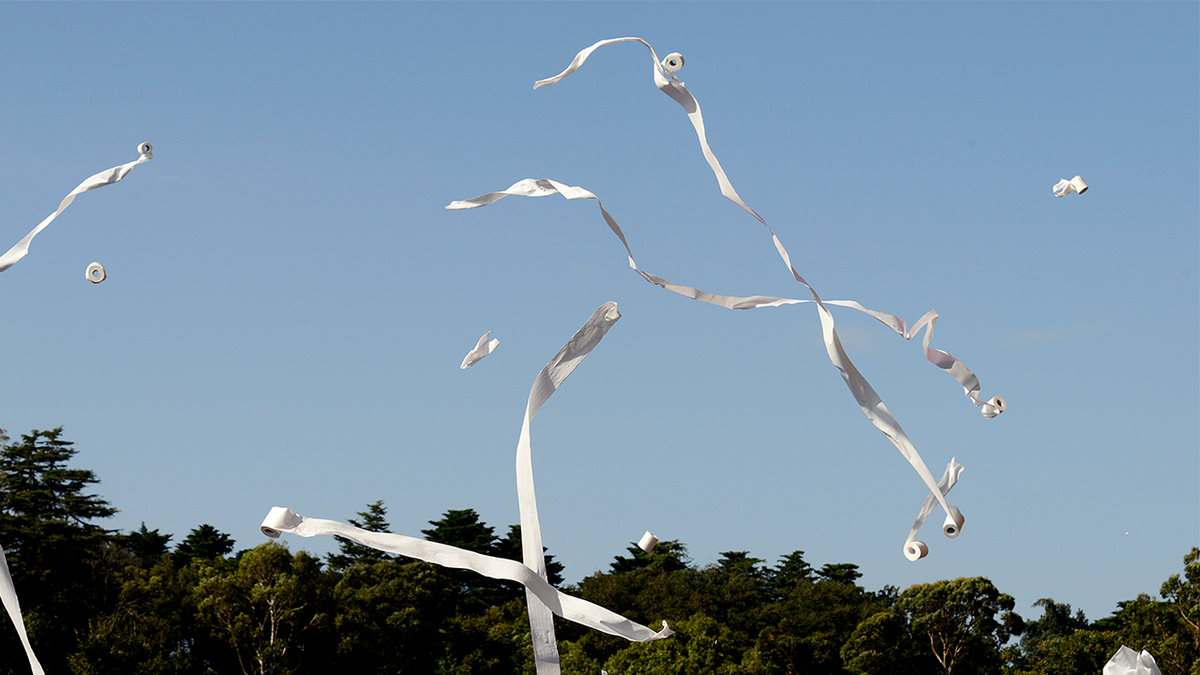 Toilet paper prank file photo